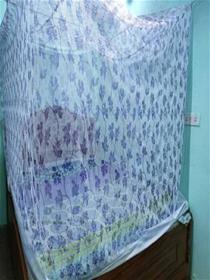 Cotton adults 077 mosquito net (f)
